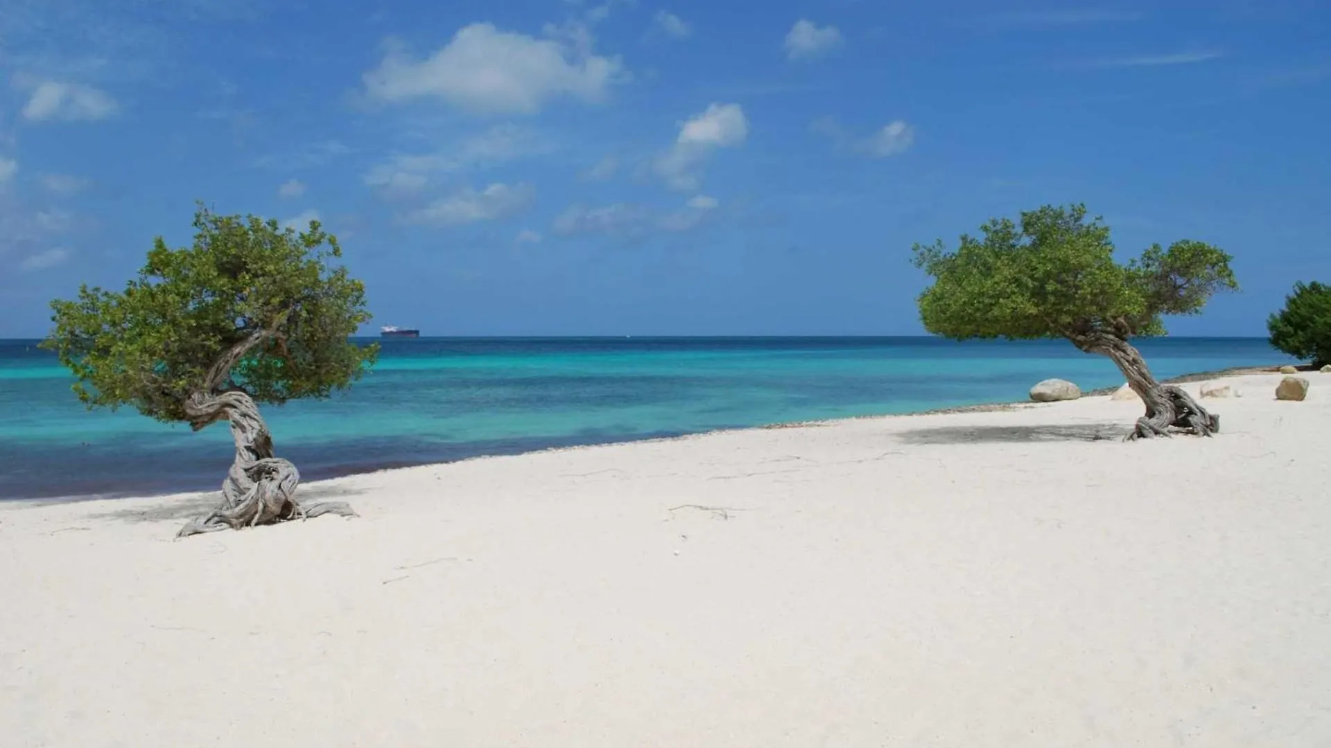 Beach View - Coastal View 2Br Condo - Lv505 Palm Beach Aruba