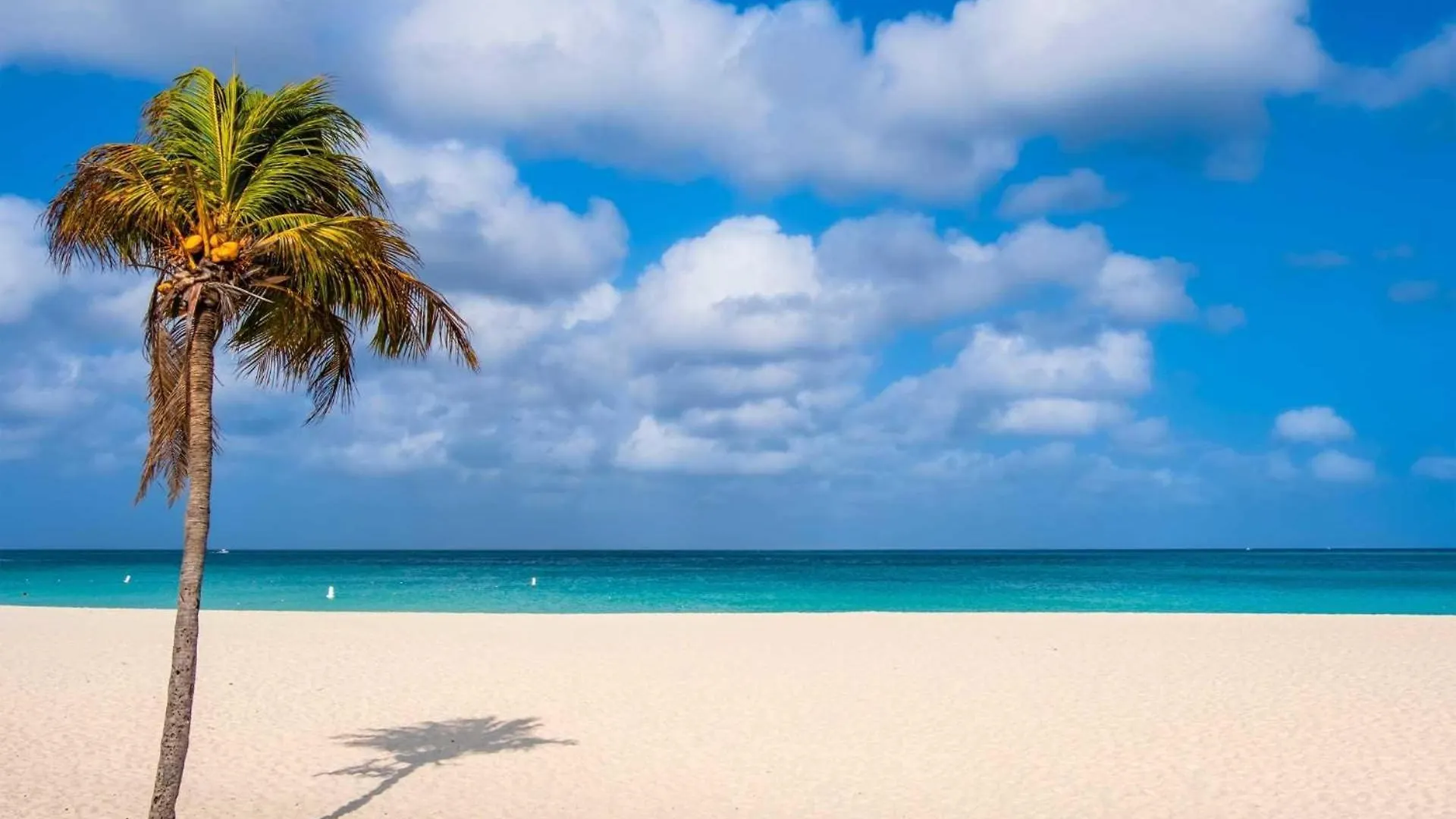 Beach View - Coastal View 2Br Condo - Lv505 Palm Beach Semesterbostad