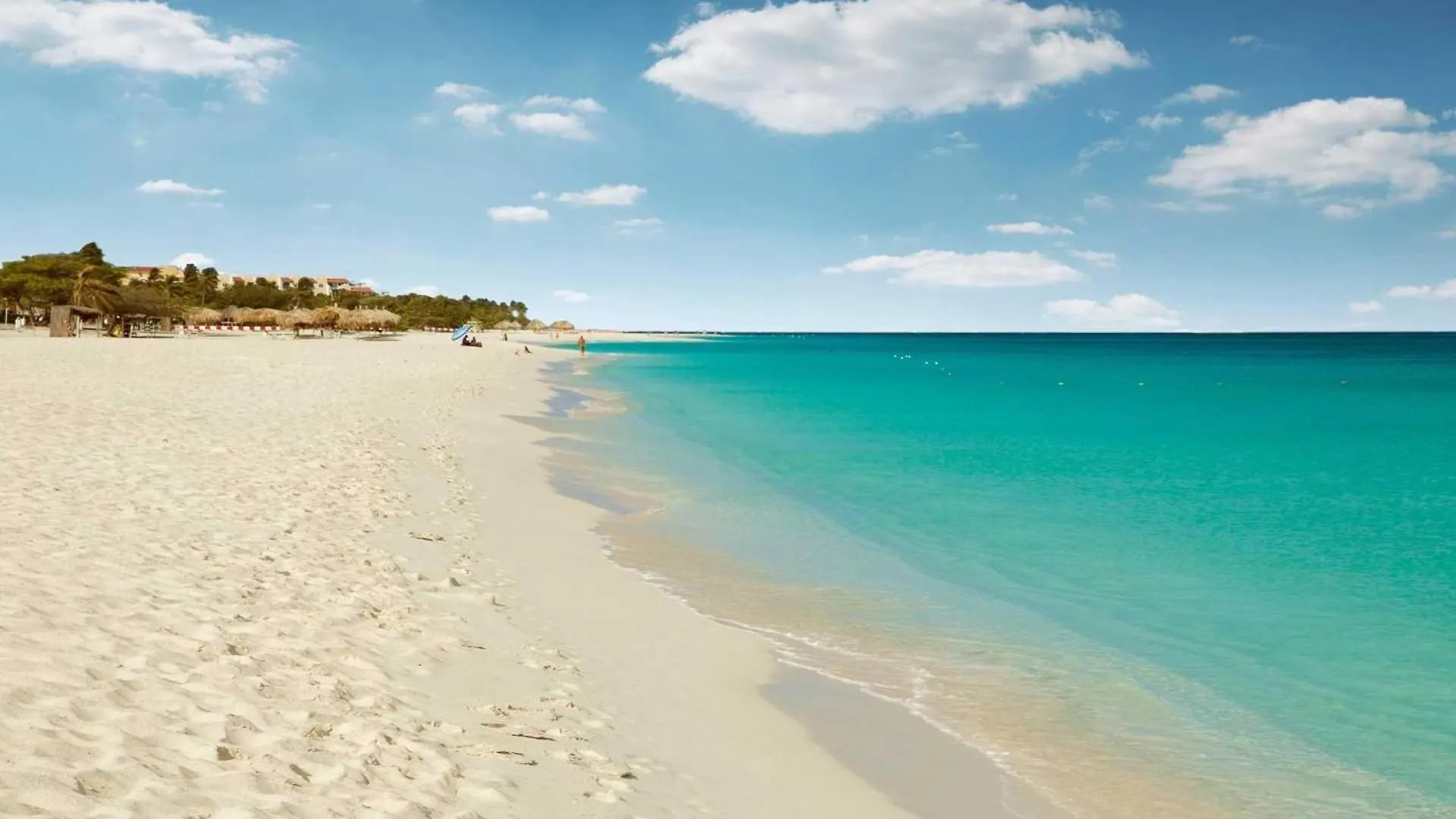 Semesterbostad Beach View - Coastal View 2Br Condo - Lv505 Palm Beach