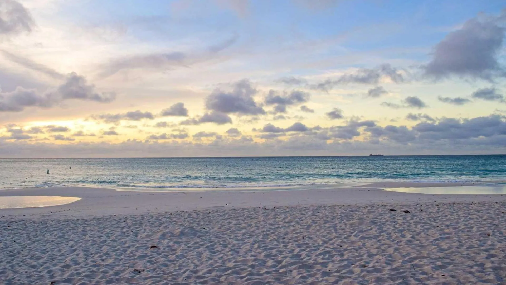 Beach View - Coastal View 2Br Condo - Lv505 Palm Beach Semesterbostad