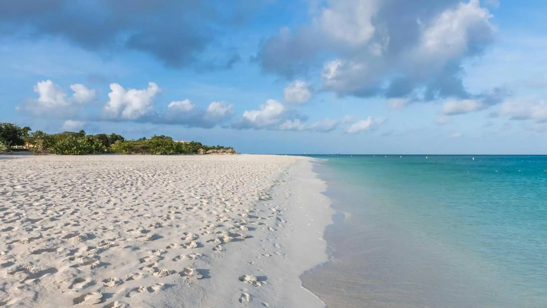 Beach View - Coastal View 2Br Condo - Lv505 Palm Beach