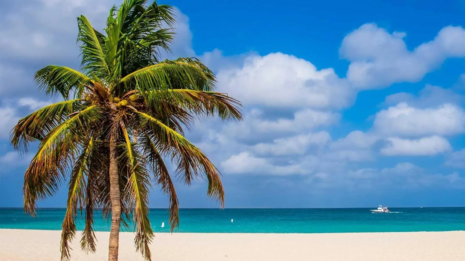 Beach View - Coastal View 2Br Condo - Lv505 شاطئ بالم 0*,